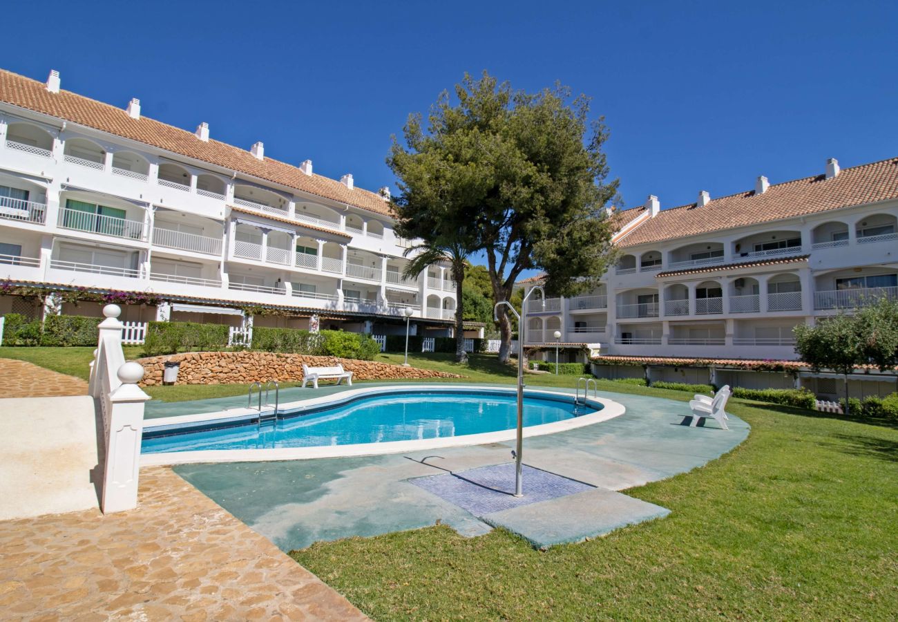 Apartamento en Alcoceber / Alcossebre - Al Andalus Alcoceber Playa Cargador
