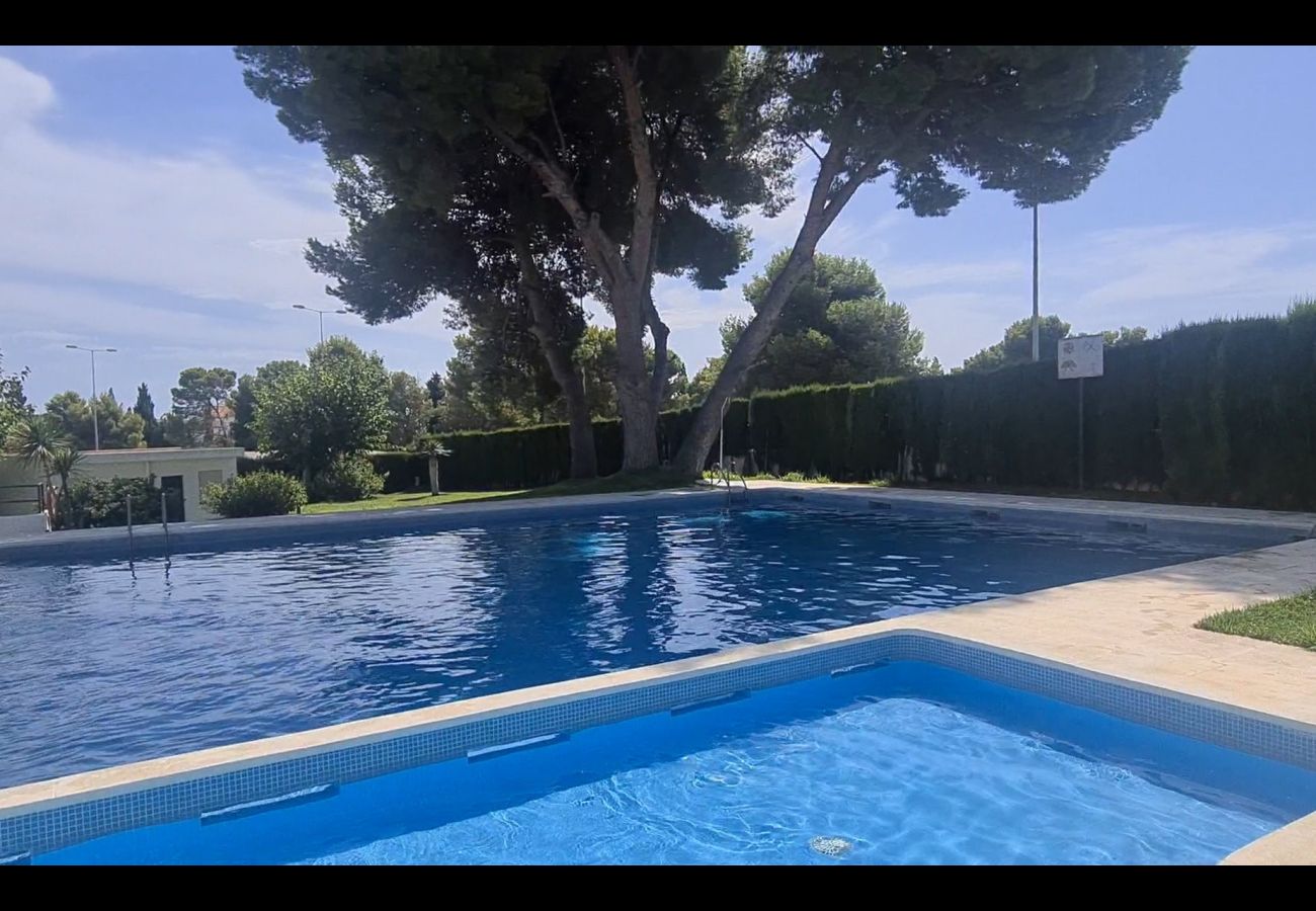 Apartamento en Alcoceber / Alcossebre - Apartamento de 3 dormitorios y piscina LAS FUENTES