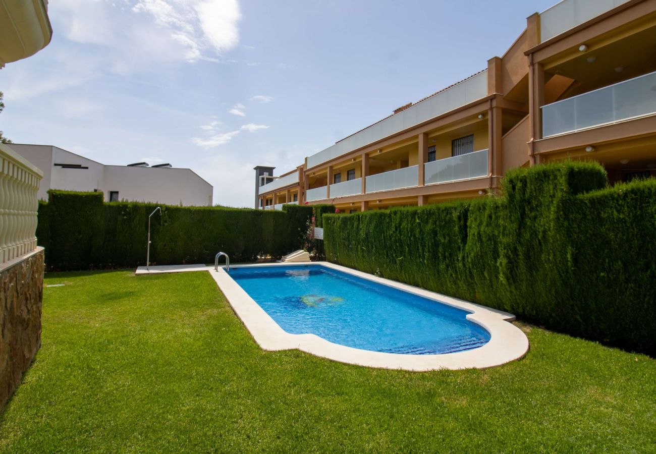 Ferienwohnung in Alcoceber - Bajo con terraza junto a la piscina - Madeira